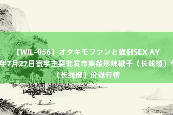 【WIL-056】オタキモファンと強制SEX AYA 2024年7月27日寰宇主要批发市集条形辣椒干（长线椒）价钱行情