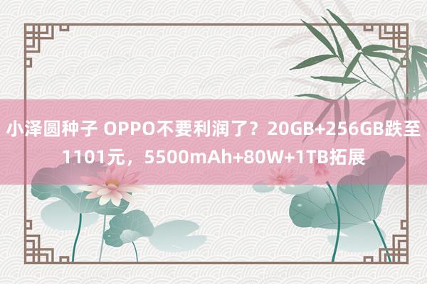 小泽圆种子 OPPO不要利润了？20GB+256GB跌至1101元，5500mAh+80W+1TB拓展