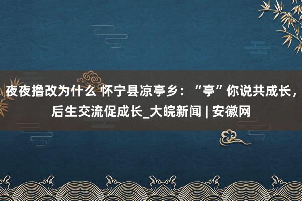 夜夜撸改为什么 怀宁县凉亭乡：“亭”你说共成长，后生交流促成长_大皖新闻 | 安徽网