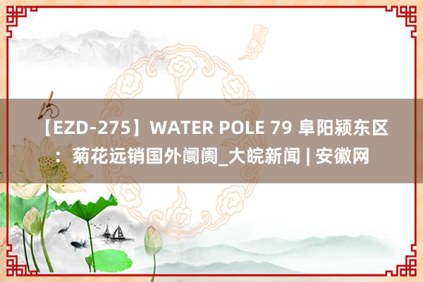 【EZD-275】WATER POLE 79 阜阳颍东区：菊花远销国外阛阓_大皖新闻 | 安徽网