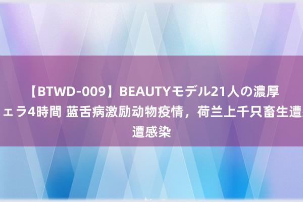 【BTWD-009】BEAUTYモデル21人の濃厚なフェラ4時間 蓝舌病激励动物疫情，荷兰上千只畜生遭感染