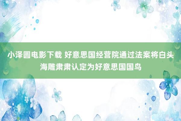 小泽圆电影下载 好意思国经营院通过法案将白头海雕肃肃认定为好意思国国鸟