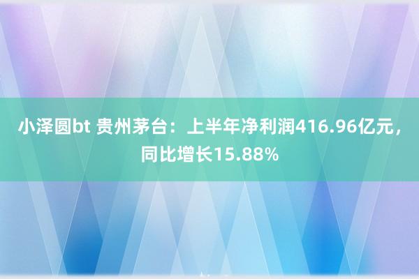 小泽圆bt 贵州茅台：上半年净利润416.96亿元，同比增长15.88%