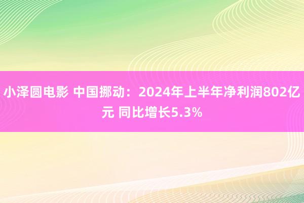 小泽圆电影 中国挪动：2024年上半年净利润802亿元 同比增长5.3%