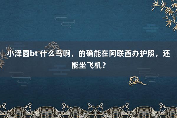 小泽圆bt 什么鸟啊，的确能在阿联酋办护照，还能坐飞机？