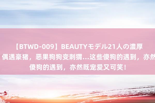 【BTWD-009】BEAUTYモデル21人の濃厚なフェラ4時間 偶遇豪猪，恶果狗狗变刺猬...这些傻狗的遇到，亦然既宠爱又可笑！