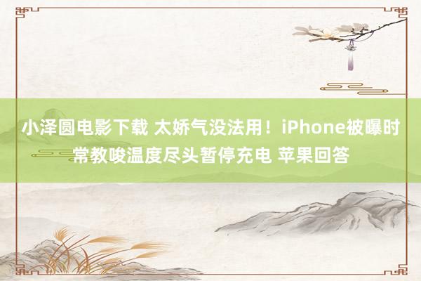 小泽圆电影下载 太娇气没法用！iPhone被曝时常教唆温度尽头暂停充电 苹果回答