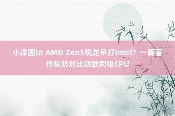 小泽圆bt AMD Zen5锐龙吊打Intel？一篇著作驻防对比四款同级CPU