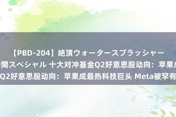 【PBD-204】絶頂ウォータースプラッシャー 放尿＆潮吹き大噴射8時間スペシャル 十大对冲基金Q2好意思股动向：苹果成最热科技巨头 Meta被罕有