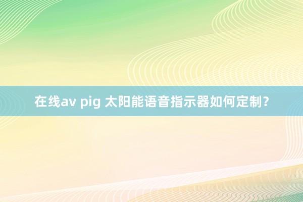 在线av pig 太阳能语音指示器如何定制？