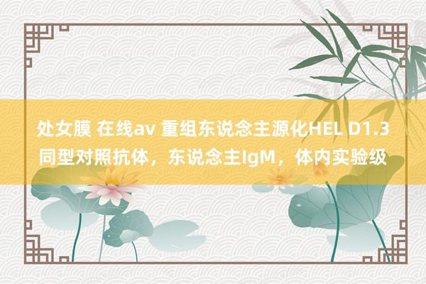 处女膜 在线av 重组东说念主源化HEL D1.3同型对照抗体，东说念主IgM，体内实验级