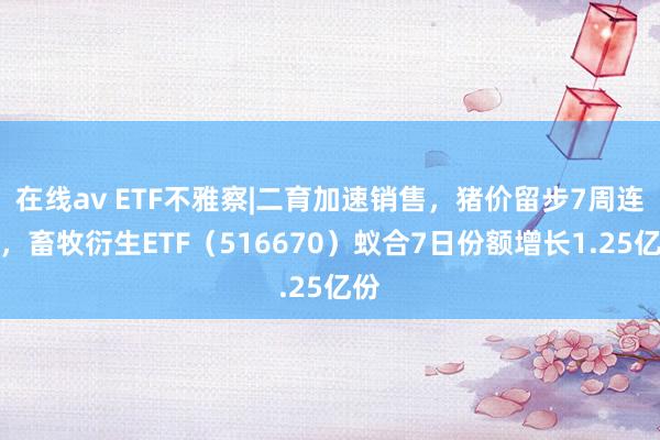 在线av ETF不雅察|二育加速销售，猪价留步7周连涨，畜牧衍生ETF（516670）蚁合7日份额增长1.25亿份