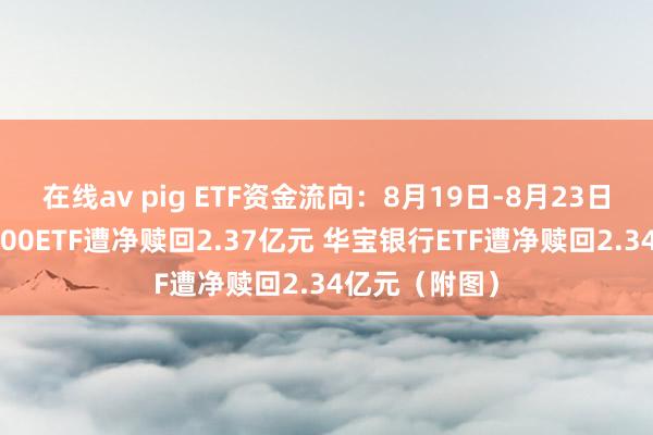 在线av pig ETF资金流向：8月19日-8月23日中原创业板100ETF遭净赎回2.37亿元 华宝银行ETF遭净赎回2.34亿元（附图）