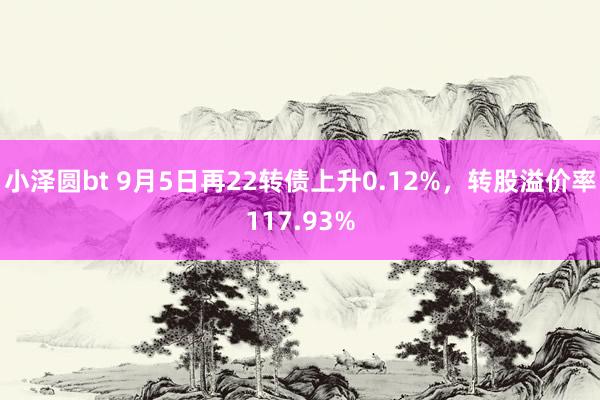 小泽圆bt 9月5日再22转债上升0.12%，转股溢价率117.93%