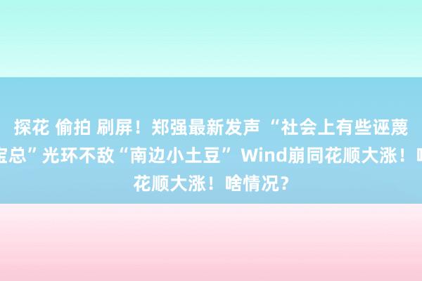 探花 偷拍 刷屏！郑强最新发声 “社会上有些诬蔑”！“宝总”光环不敌“南边小土豆” Wind崩同花顺大涨！啥情况？