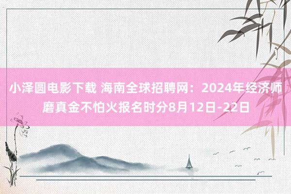 小泽圆电影下载 海南全球招聘网：2024年经济师磨真金不怕火报名时分8月12日-22日