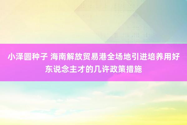 小泽圆种子 海南解放贸易港全场地引进培养用好东说念主才的几许政策措施