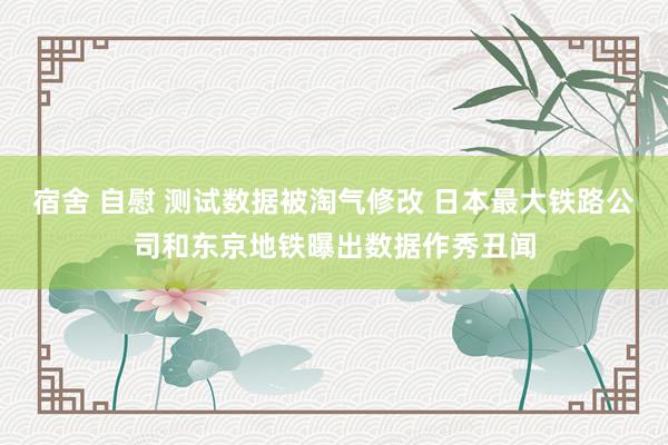 宿舍 自慰 测试数据被淘气修改 日本最大铁路公司和东京地铁曝出数据作秀丑闻