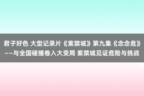 君子好色 大型记录片《紫禁城》第九集《念念危》——与全国碰撞卷入大变局 紫禁城见证危险与挑战